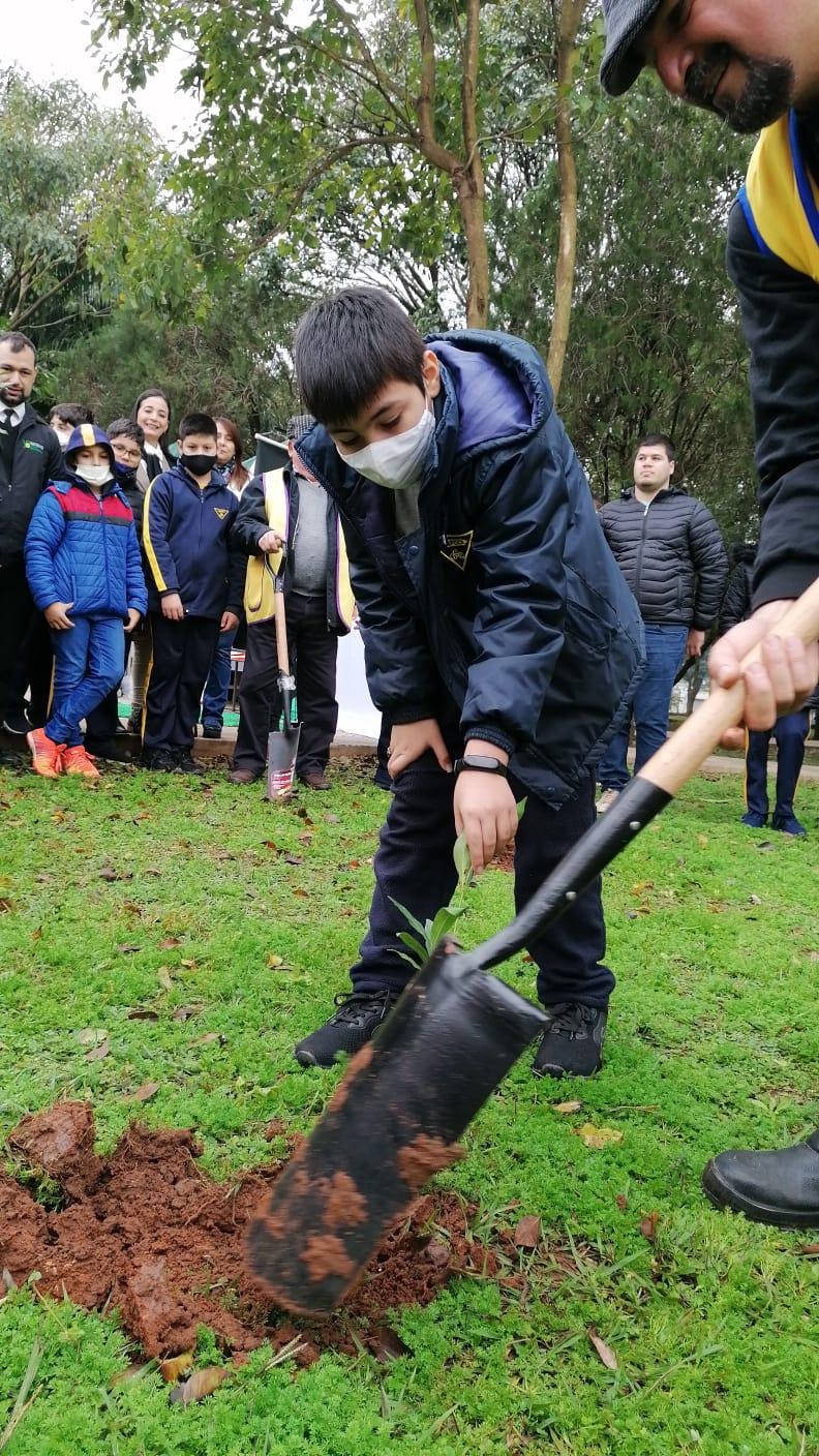 Grupos de niños