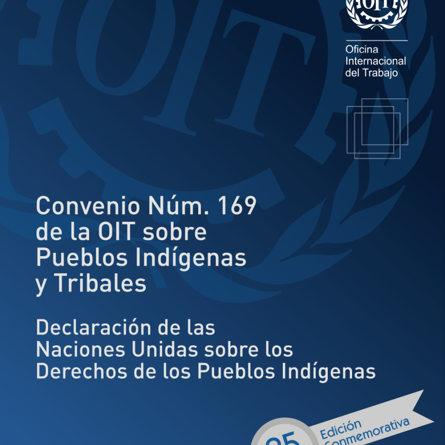 Convenio 169