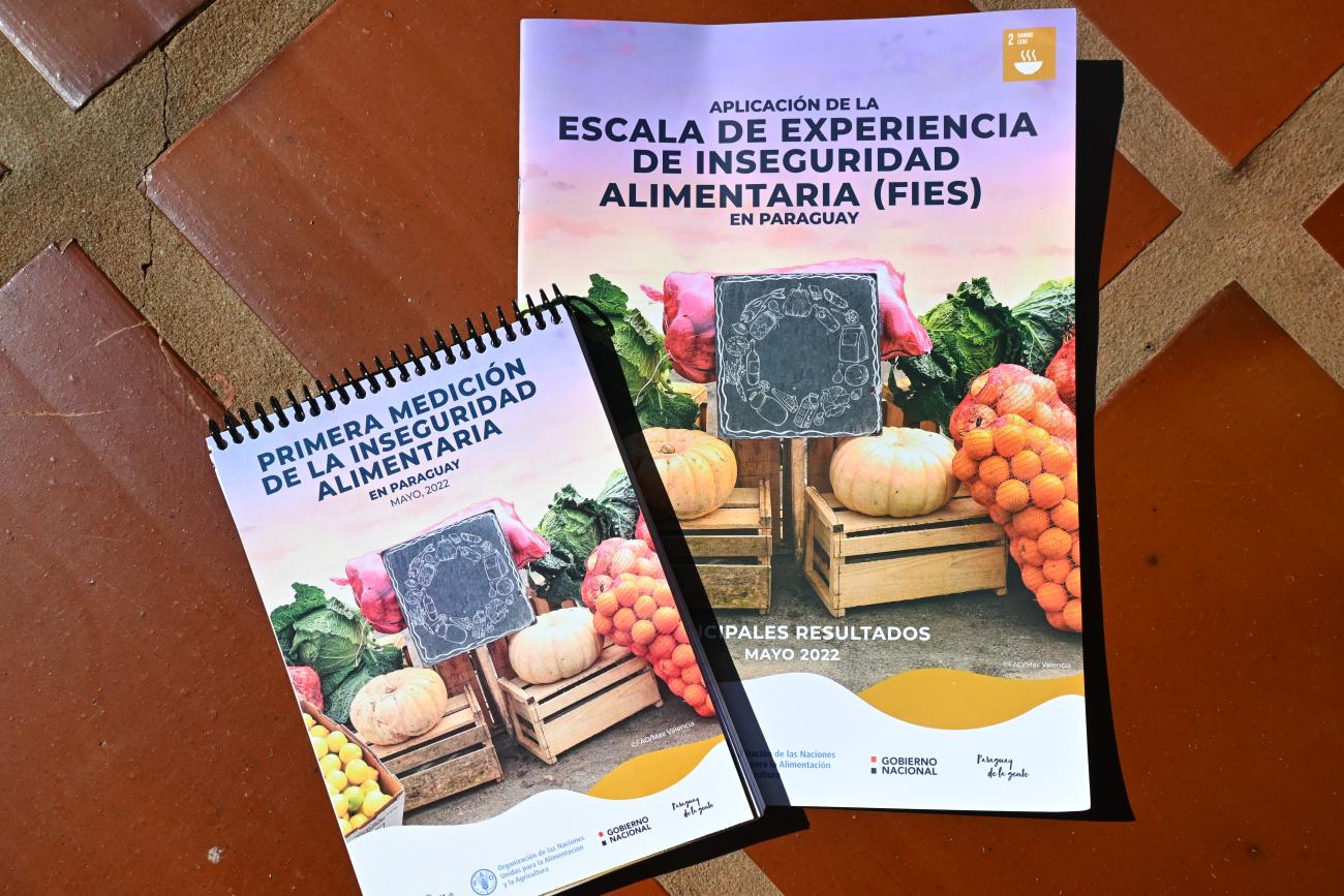 Informe inseguridad alimentaria