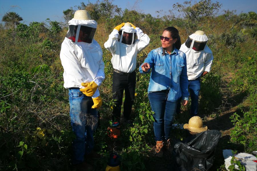 Apicultores