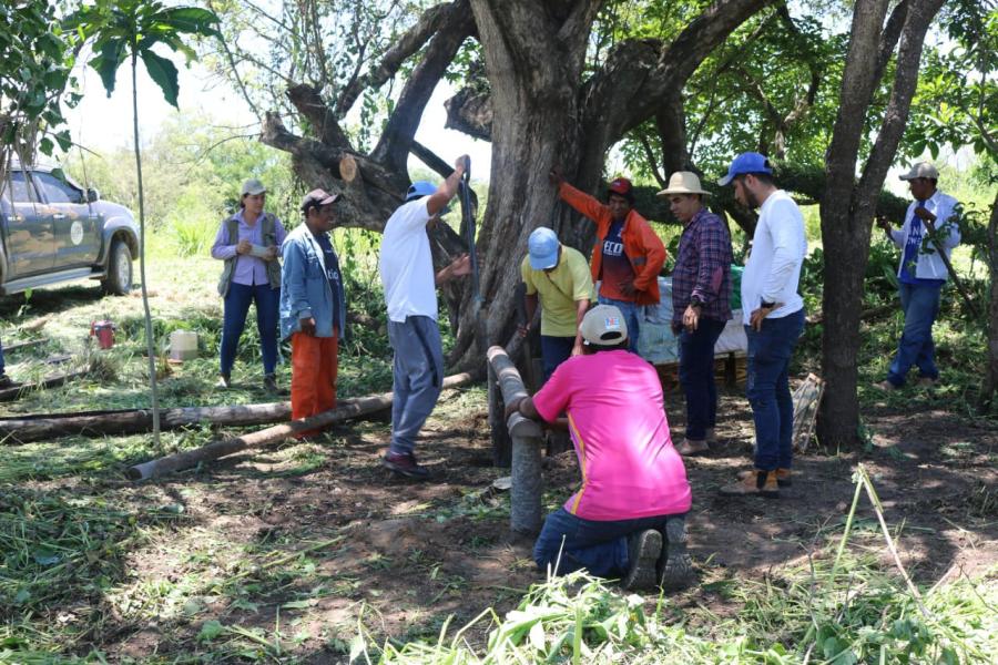 Trabajo en el campo