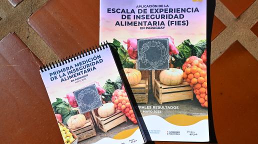 Informe inseguridad alimentaria