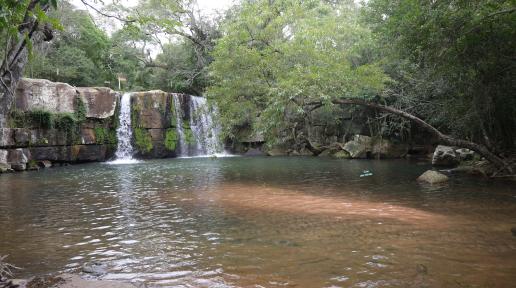 Saltos