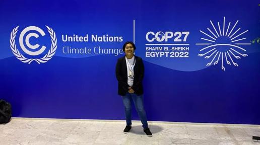 COP27