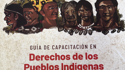 Guía de Capacitación en Derechos de los Pueblos Indígenas en Paraguay